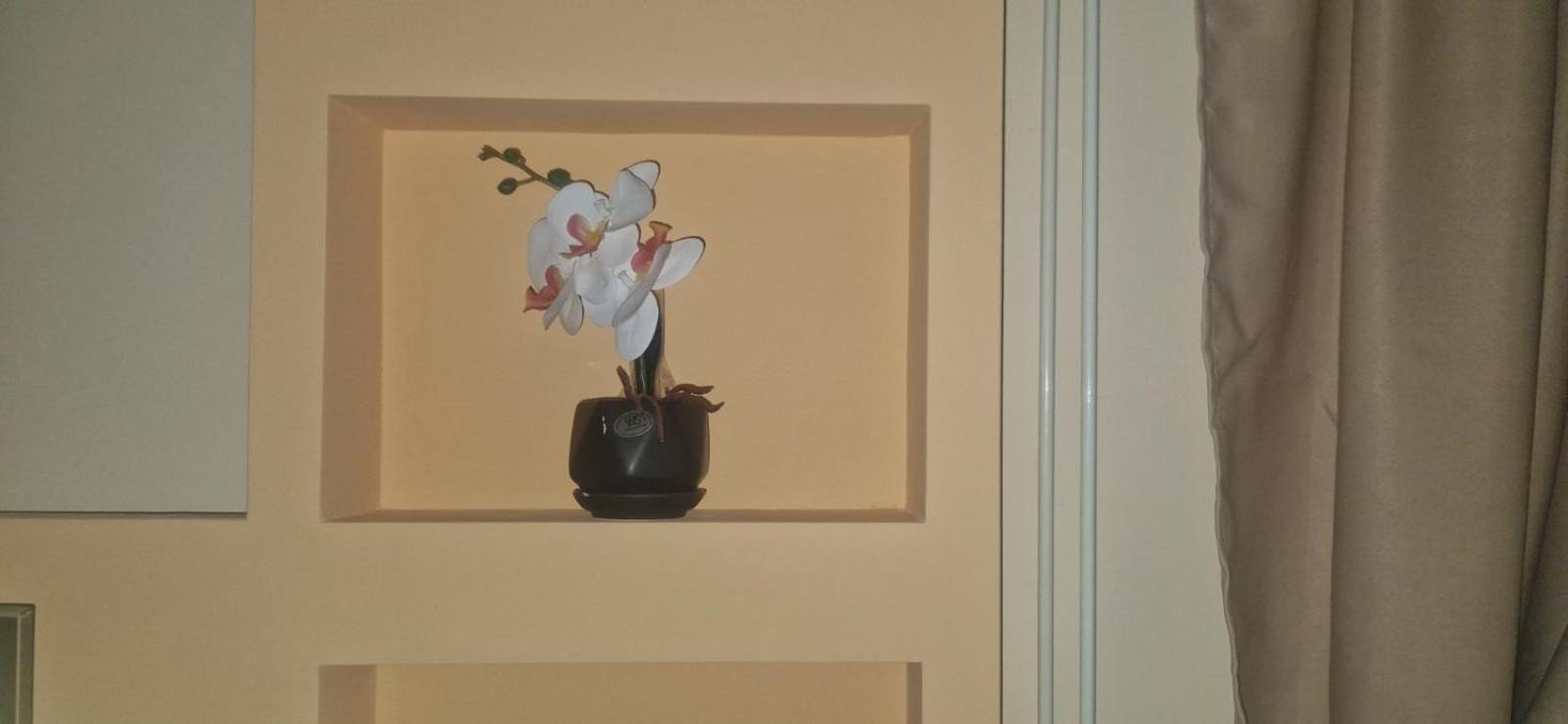 Apartmani Jasmina Zlatibor Bagian luar foto